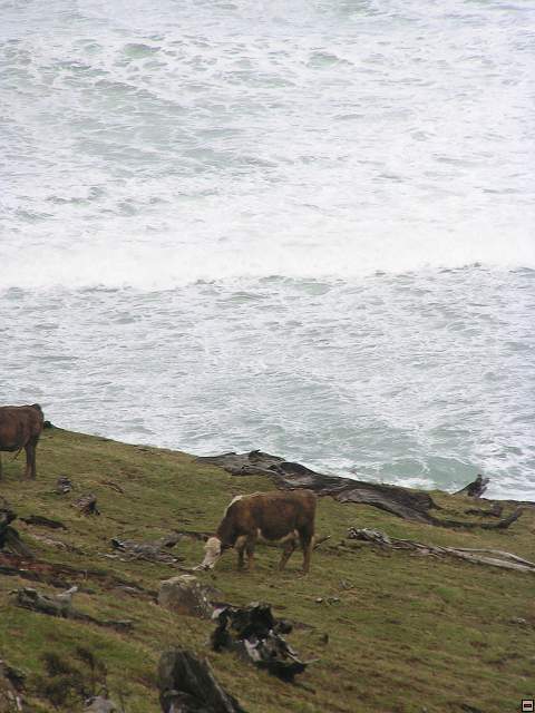 The Catlins Coast 005.jpg